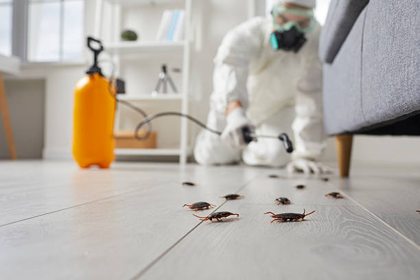 Trusted Rodent Control service in Centreville, MD - Nex Pest Control